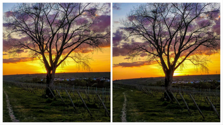 Stereoscopic Photography: A Complete Guide