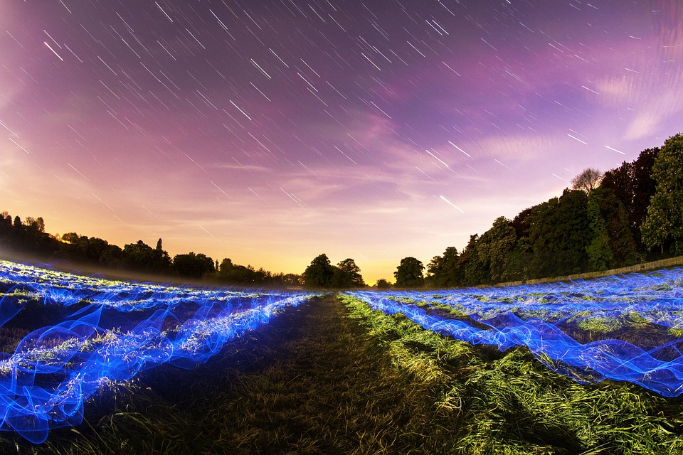 light field photography basics