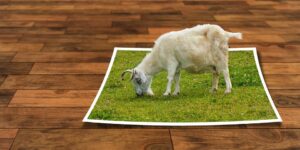3d photo editing software