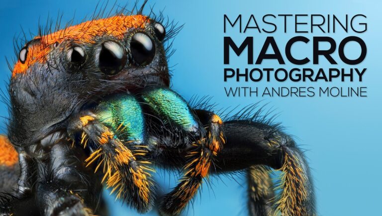 Macro 3D Photography: Techniques for Close Up Stereo